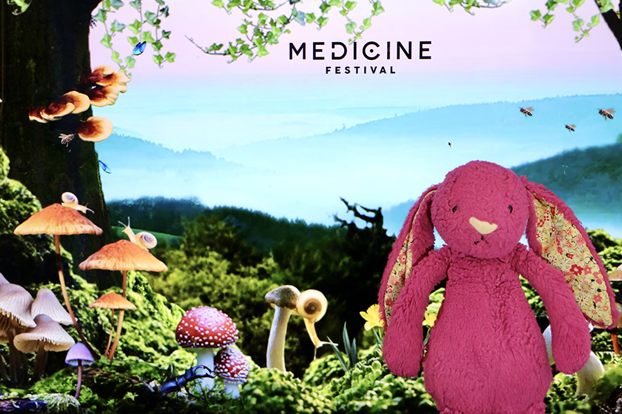 image for embracing grief workshop at medicine festival bunny is heading to the woods