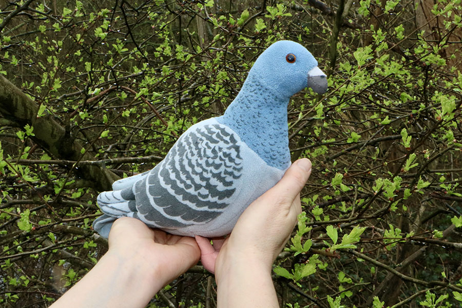 Embracing Grief Wild two day in person grief support circle title, pigeon soft toy cradled in hand
